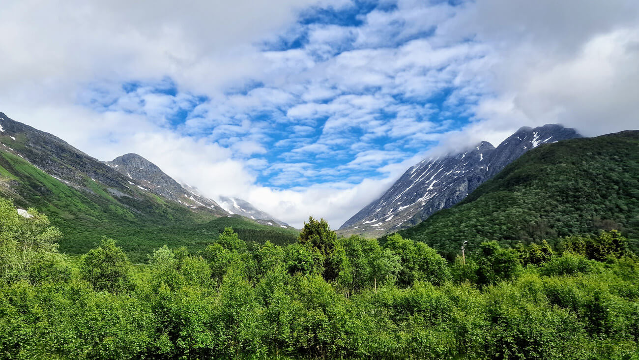 Now she is my only link to